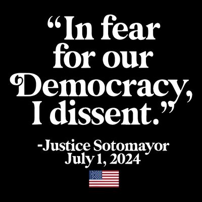 Scotus I Dissent Fear For Our Democracy Justice Sotomayor T-Shirt