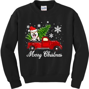 Shiba Inu Dog Riding Red Truck Christmas Decorations Pajama Kids Sweatshirt