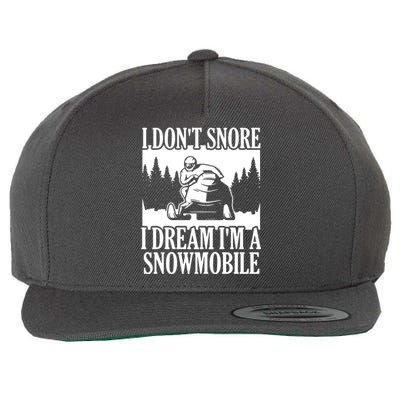 Snowmobiling I DonT Snore Wool Snapback Cap