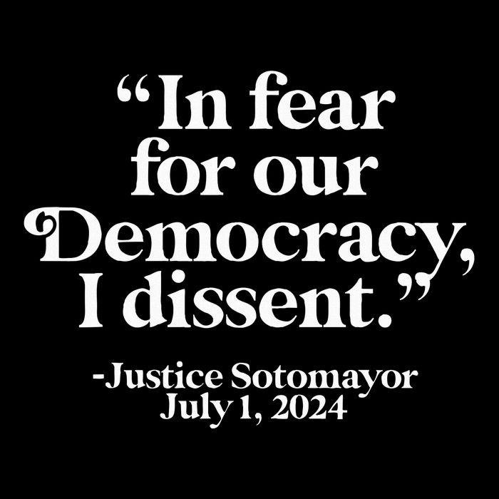 Scotus I Dissent Fear For Our Democracy Justice Sotomayor Sweatshirt