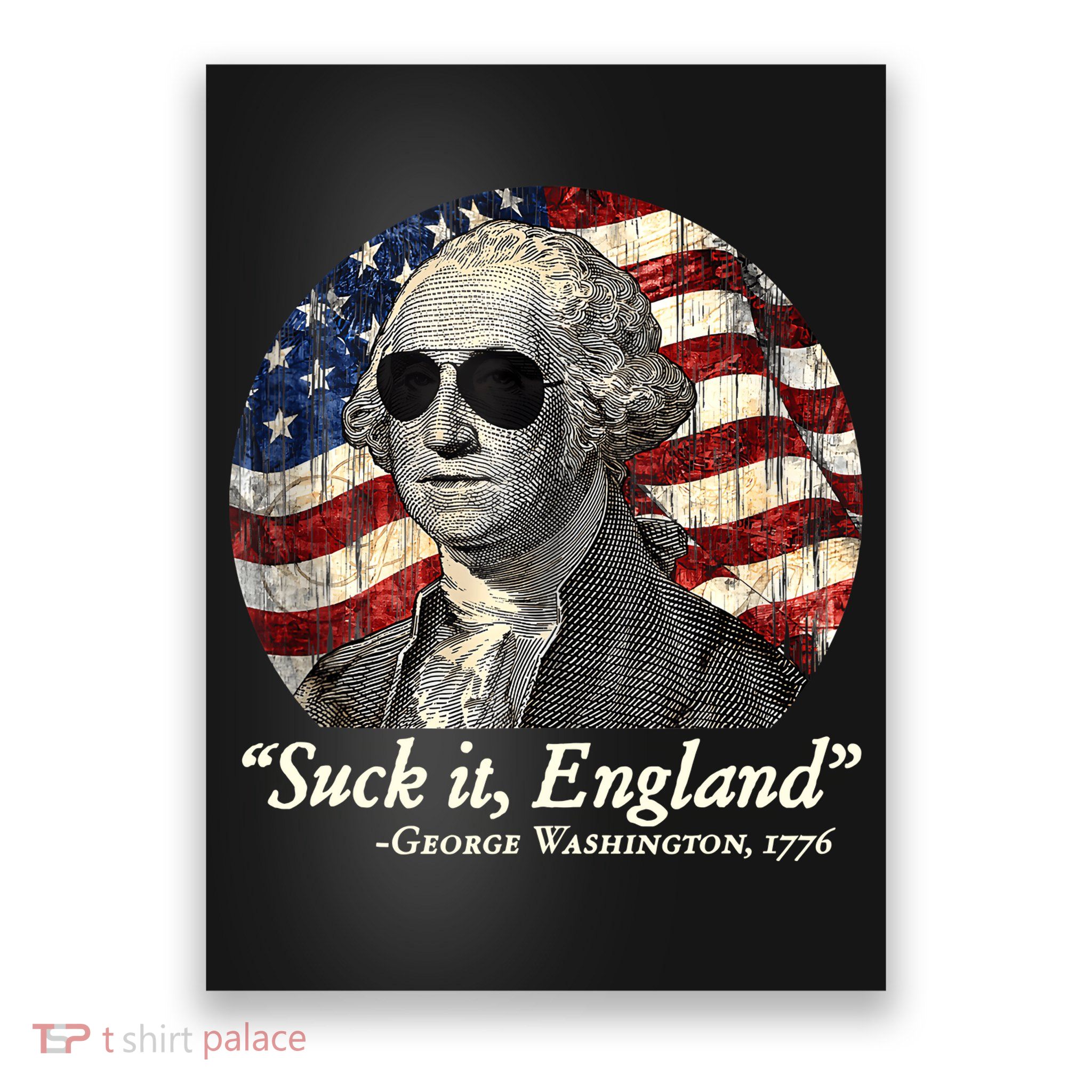 Suck It England Funny 4th Of July George Washington 1776 Poster