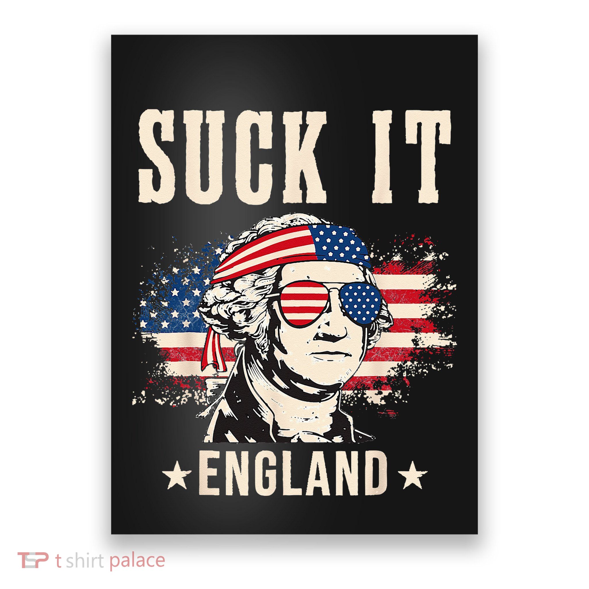Suck It England Funny 4th Of July George Washington Poster