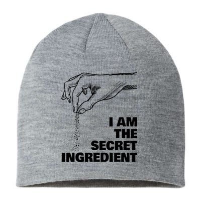 Secret Ingredient Funny Cooking Cook Chef Sustainable Beanie