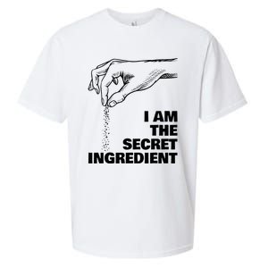 Secret Ingredient Funny Cooking Cook Chef Sueded Cloud Jersey T-Shirt