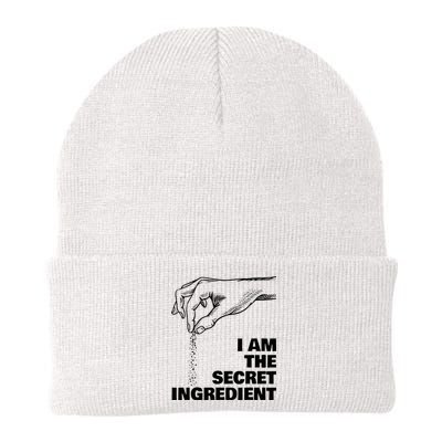 Secret Ingredient Funny Cooking Cook Chef Knit Cap Winter Beanie