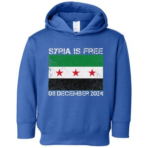 Syria Is Finally Free Celebrate The Freedom March Syria Free Toddler Hoodie