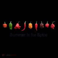Summer Is For Spice 16 in Basic Backpack