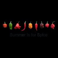 Summer Is For Spice Magnet