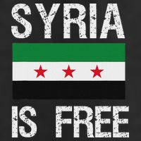 Syria Is Free Syrian Flag Crop Fleece Hoodie
