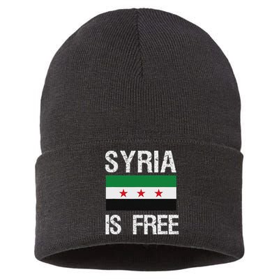Syria Is Free Syrian Flag Sustainable Knit Beanie