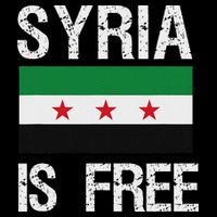 Syria Is Free Syrian Flag Zip Tote Bag