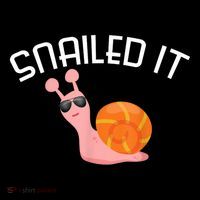 Snailed It Funny Lazy Snail Lover Gift Poster