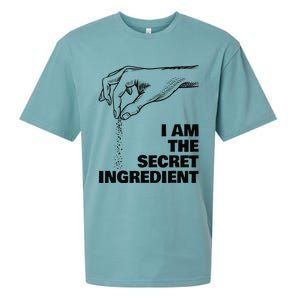 Secret Ingredient Funny Cooking Cook Chef Sueded Cloud Jersey T-Shirt