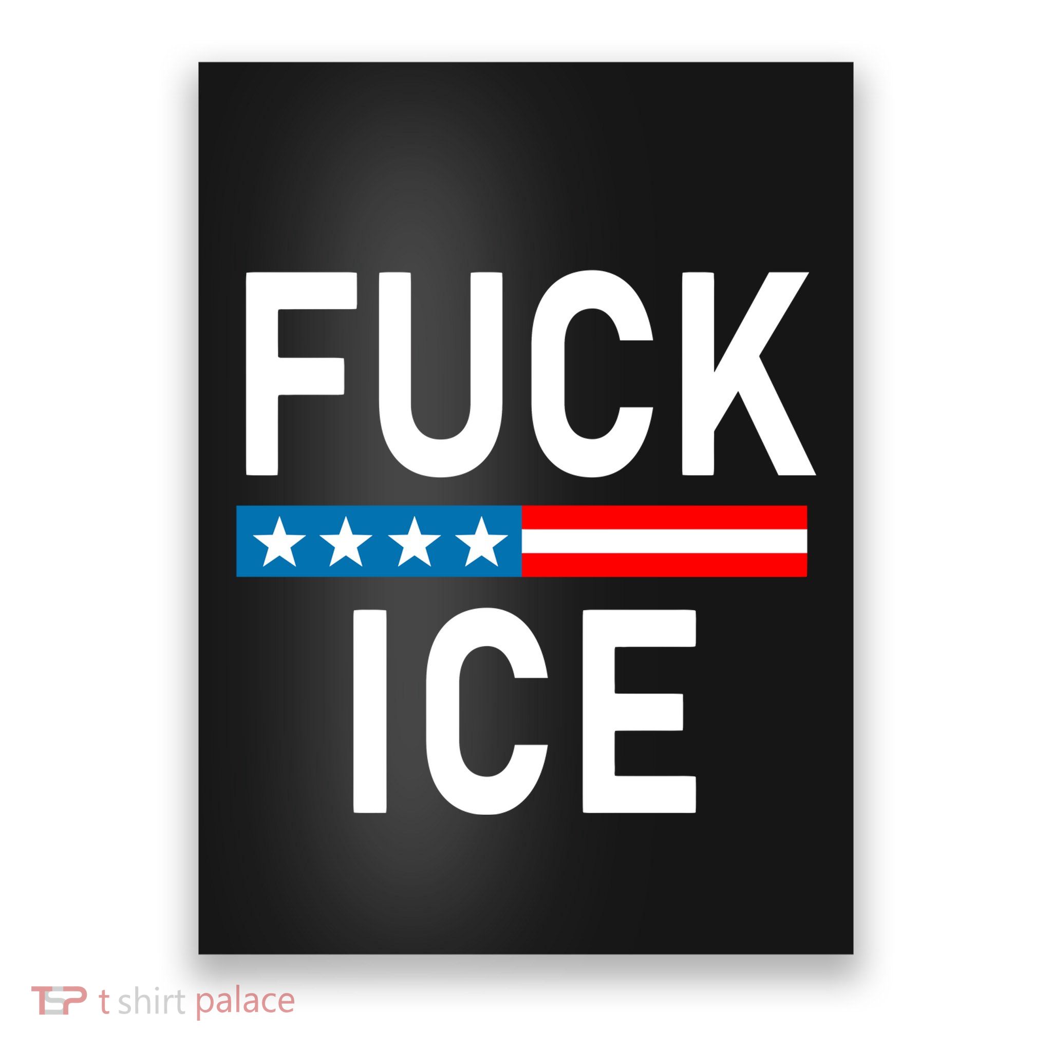 Support Immigrants Fuck Ice Poster