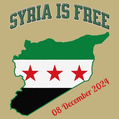 Syria Is Free Join The Freedom March Celebrate Syria T-Shirt