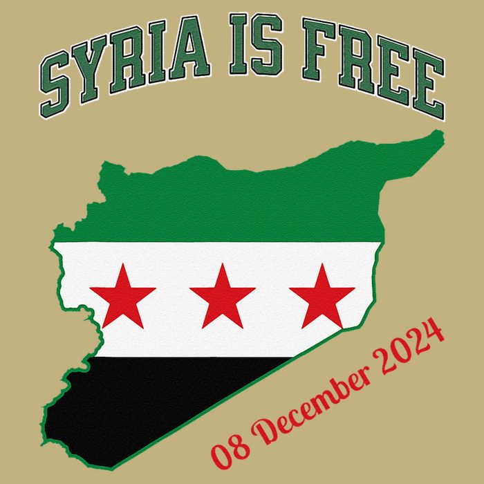 Syria Is Free Join The Freedom March Celebrate Syria Button
