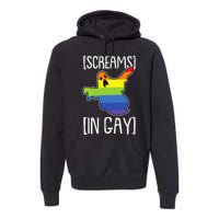 Screams In Gay Lazy Halloween Costume Funny LGBTQ Ghost Boo Premium Hoodie