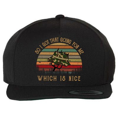 So I Got That Going For Me Which Is Nice Funny Vintage Hat Wool Snapback Cap