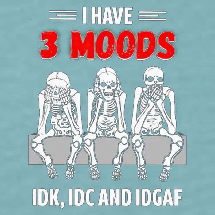 Skeleton I Have 3 Moods IDK IDC And IDGAF Sueded Cloud Jersey T-Shirt