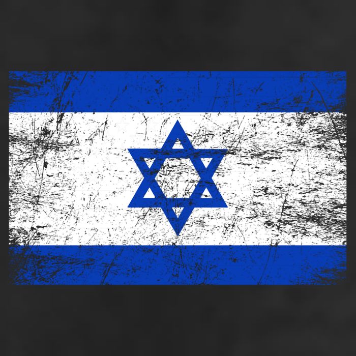 Support Israel I Stand With Israel Israeli Flag Cool Comfort Performance Bucket Hat
