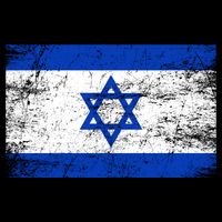 Support Israel I Stand With Israel Israeli Flag Cropped Pullover Crew