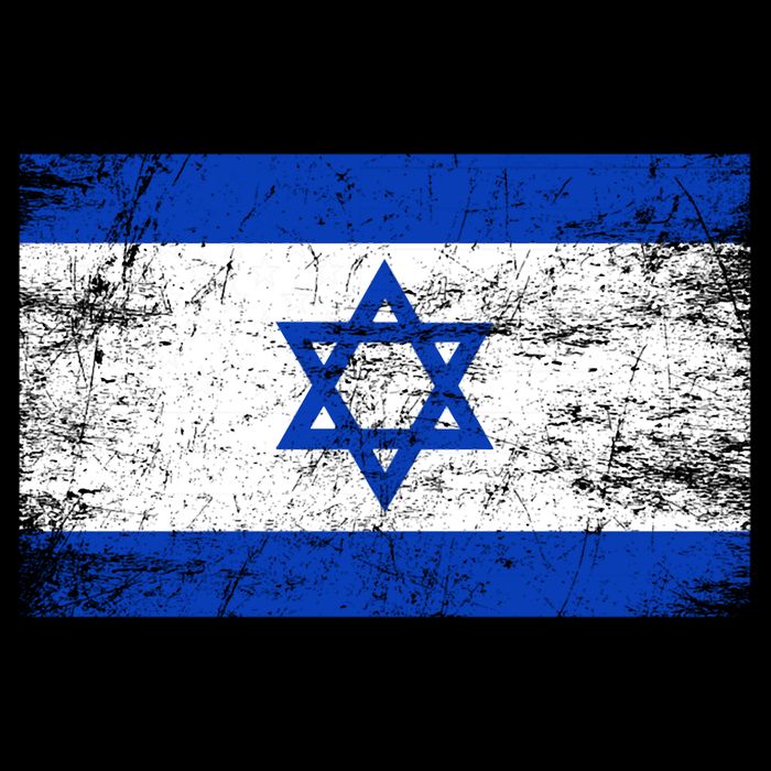 Support Israel I Stand With Israel Israeli Flag Cropped Pullover Crew