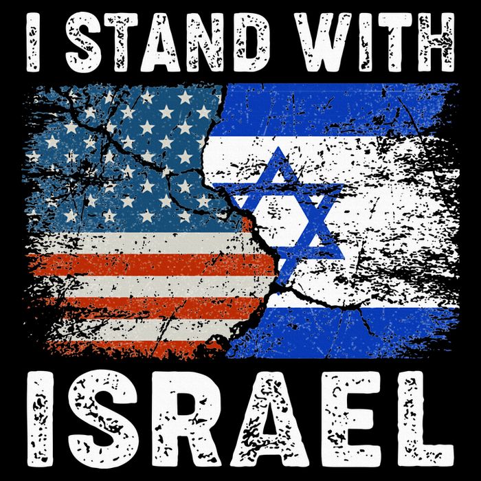 Support Israel I Stand With Israel Israeli Flag Us Flag Cropped Pullover Crew