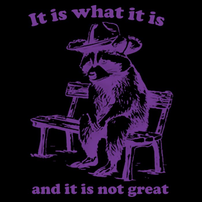 Slippywild It Is What It Is And It Is Not Great 16oz Travel Tumbler