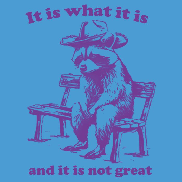 Slippywild It Is What It Is And It Is Not Great Tie Dye Hoodie