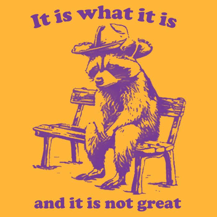 Slippywild It Is What It Is And It Is Not Great Sustainable Knit Beanie