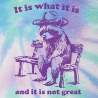 Slippywild It Is What It Is And It Is Not Great Legacy Tie Dye Trucker Hat