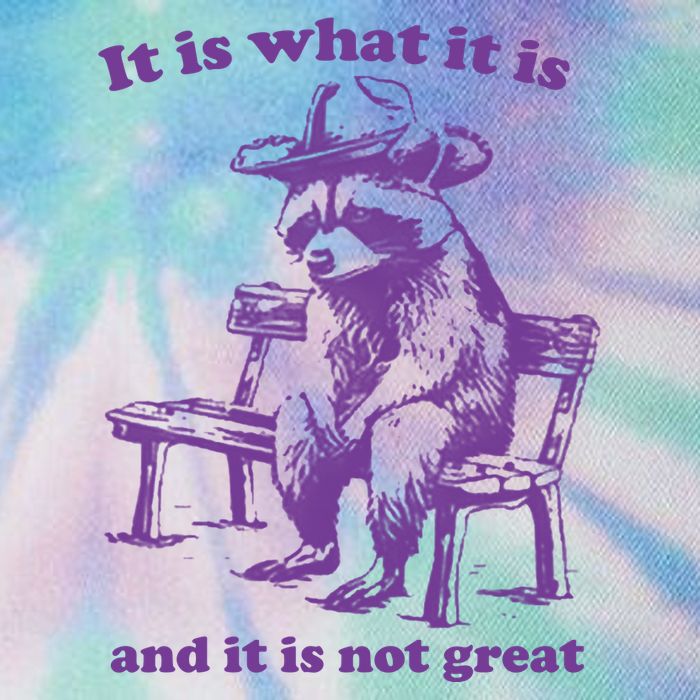 Slippywild It Is What It Is And It Is Not Great Legacy Tie Dye Trucker Hat