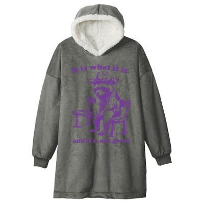 Slippywild It Is What It Is And It Is Not Great Hooded Wearable Blanket