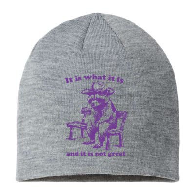 Slippywild It Is What It Is And It Is Not Great Sustainable Beanie