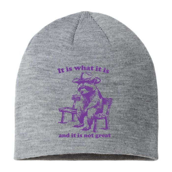 Slippywild It Is What It Is And It Is Not Great Sustainable Beanie
