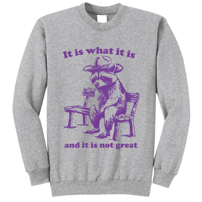 Slippywild It Is What It Is And It Is Not Great Tall Sweatshirt