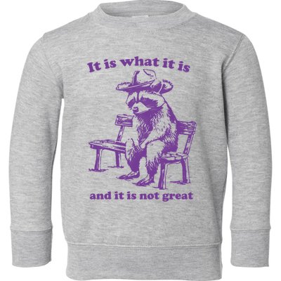 Slippywild It Is What It Is And It Is Not Great Toddler Sweatshirt