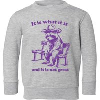 Slippywild It Is What It Is And It Is Not Great Toddler Sweatshirt