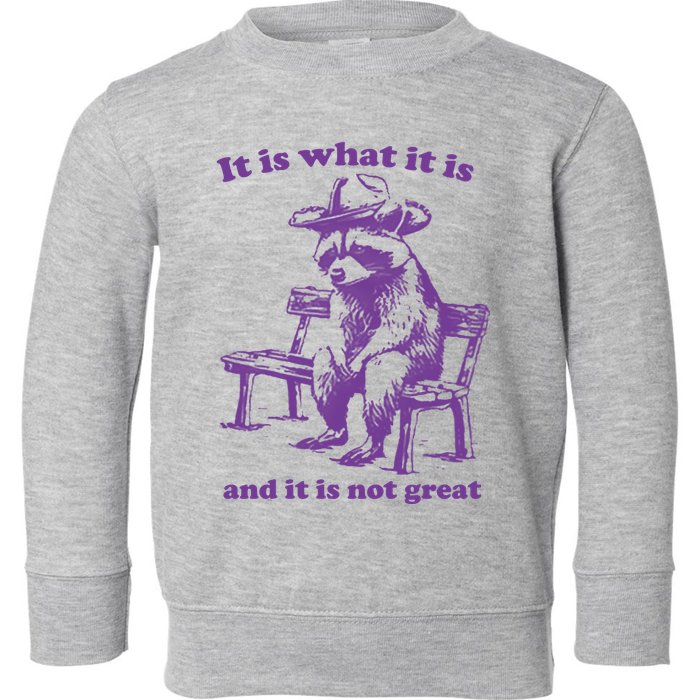 Slippywild It Is What It Is And It Is Not Great Toddler Sweatshirt