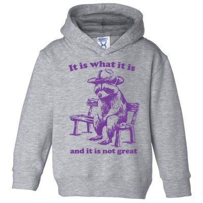 Slippywild It Is What It Is And It Is Not Great Toddler Hoodie