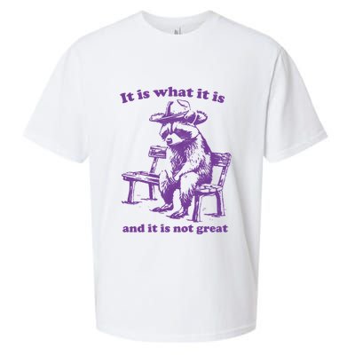Slippywild It Is What It Is And It Is Not Great Sueded Cloud Jersey T-Shirt