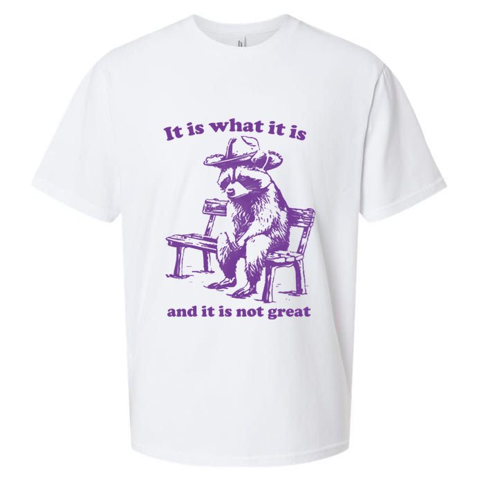 Slippywild It Is What It Is And It Is Not Great Sueded Cloud Jersey T-Shirt