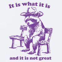 Slippywild It Is What It Is And It Is Not Great Sueded Cloud Jersey T-Shirt