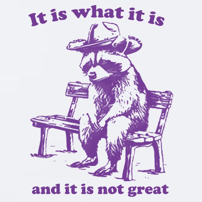 Slippywild It Is What It Is And It Is Not Great Sueded Cloud Jersey T-Shirt