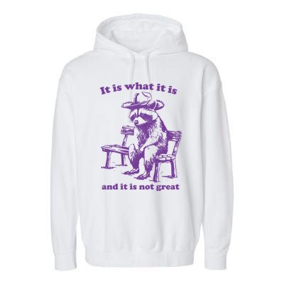 Slippywild It Is What It Is And It Is Not Great Garment-Dyed Fleece Hoodie