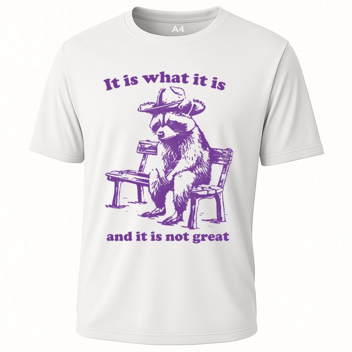 Slippywild It Is What It Is And It Is Not Great Cooling Performance Crew T-Shirt