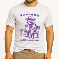 Slippywild It Is What It Is And It Is Not Great Cooling Performance Crew T-Shirt