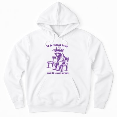 Slippywild It Is What It Is And It Is Not Great Hoodie