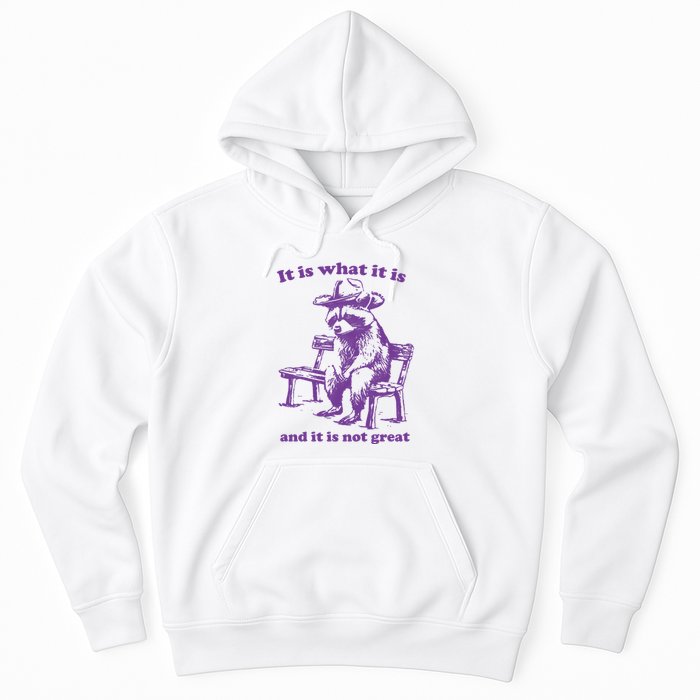 Slippywild It Is What It Is And It Is Not Great Hoodie