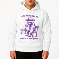 Slippywild It Is What It Is And It Is Not Great Hoodie